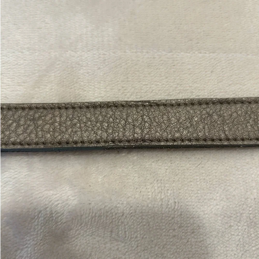 Jessica Simpson Details Brown/ Taupe Belt with Brushed Silver Buckle, Size L